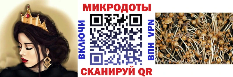 Псилоцибиновые грибы Cubensis  даркнет сайт  Осташков 