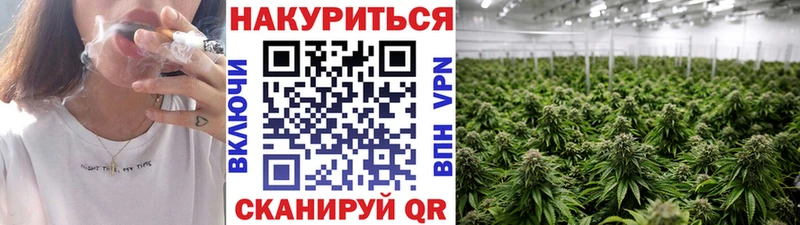 Шишки марихуана индика даркнет сайт Осташков